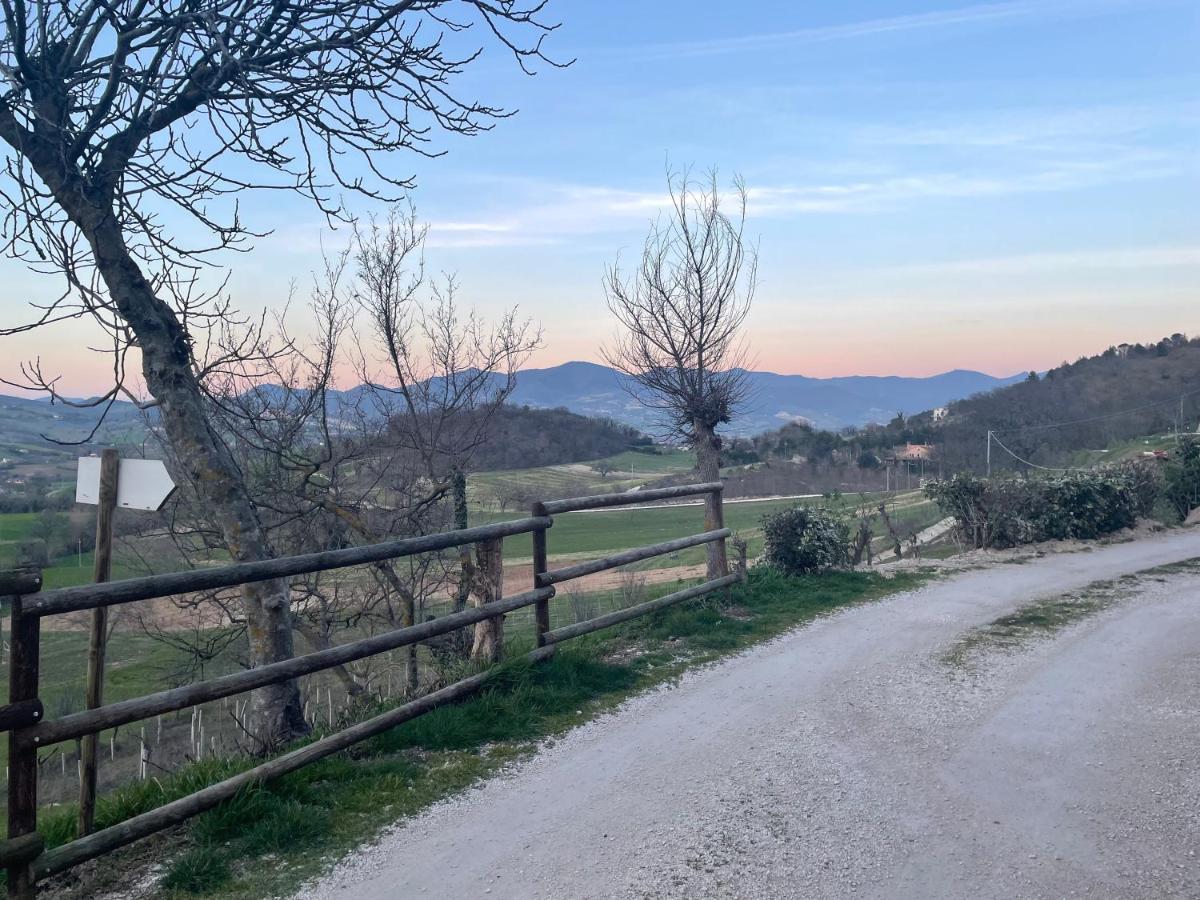 Agriturismo B&B La Cerasa Fabriano Esterno foto