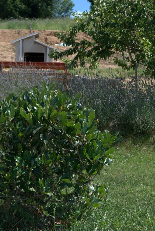 Agriturismo B&B La Cerasa Fabriano Esterno foto